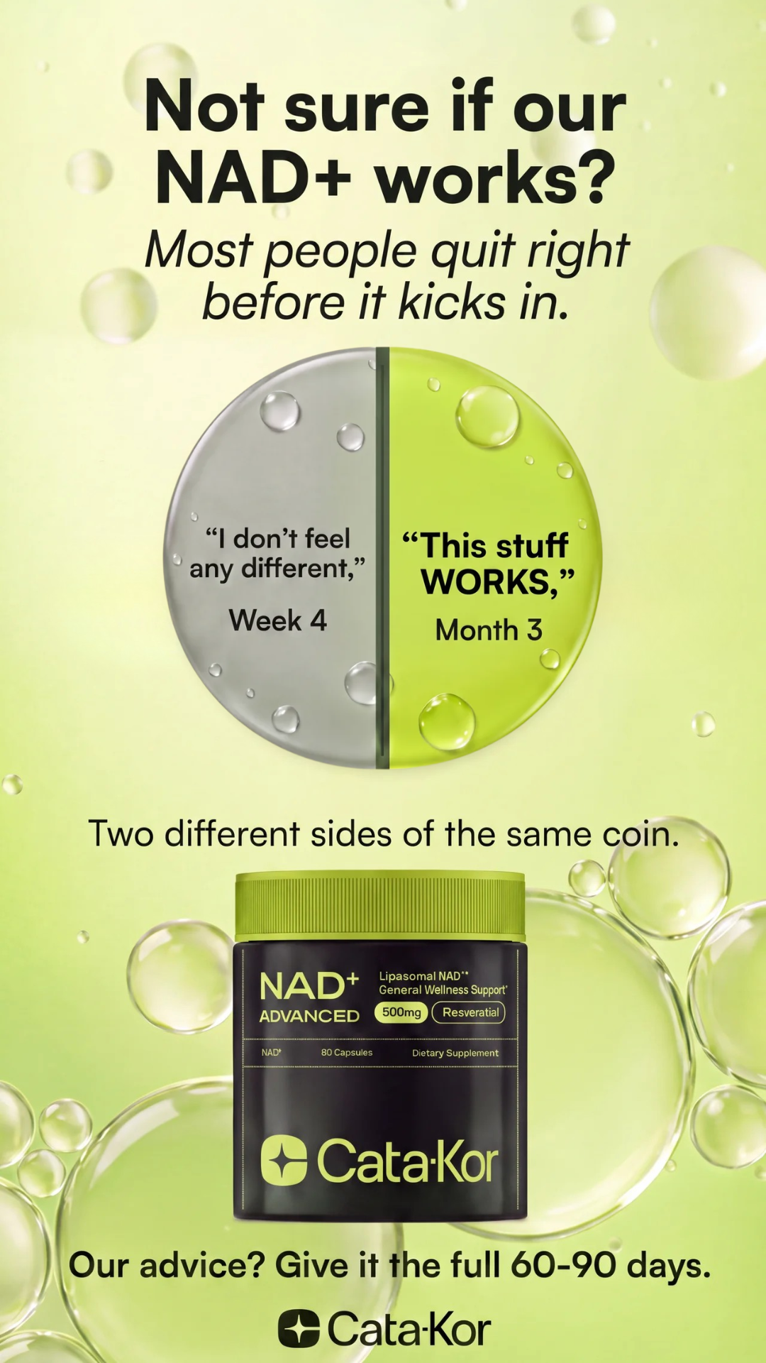 Cata-Kor ad — not sure if our NAD+ works