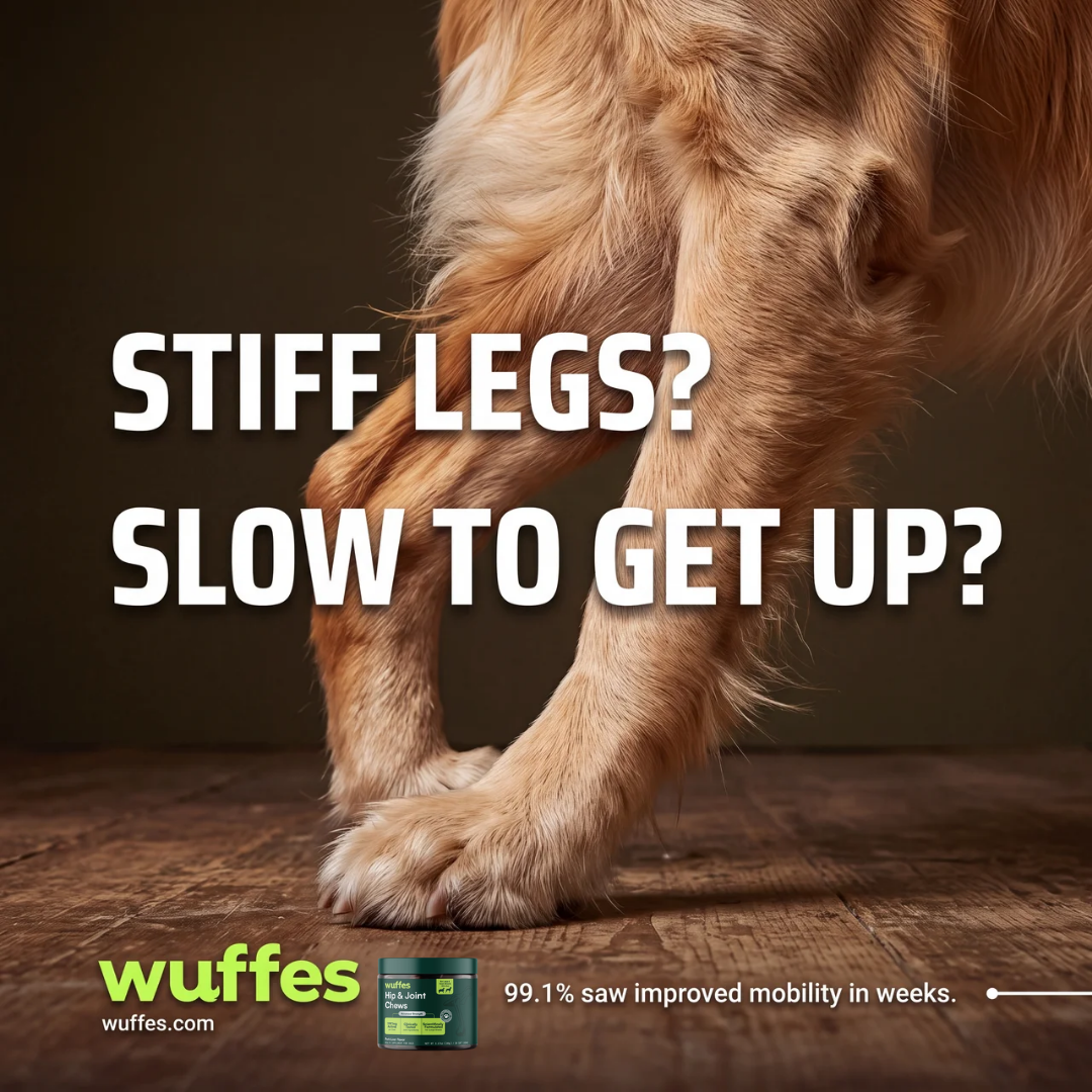 Wuffes ad — stiff legs, slow to get up