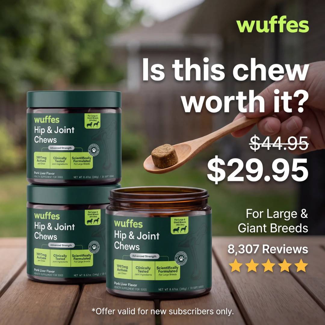 Wuffes ad — is this chew worth it